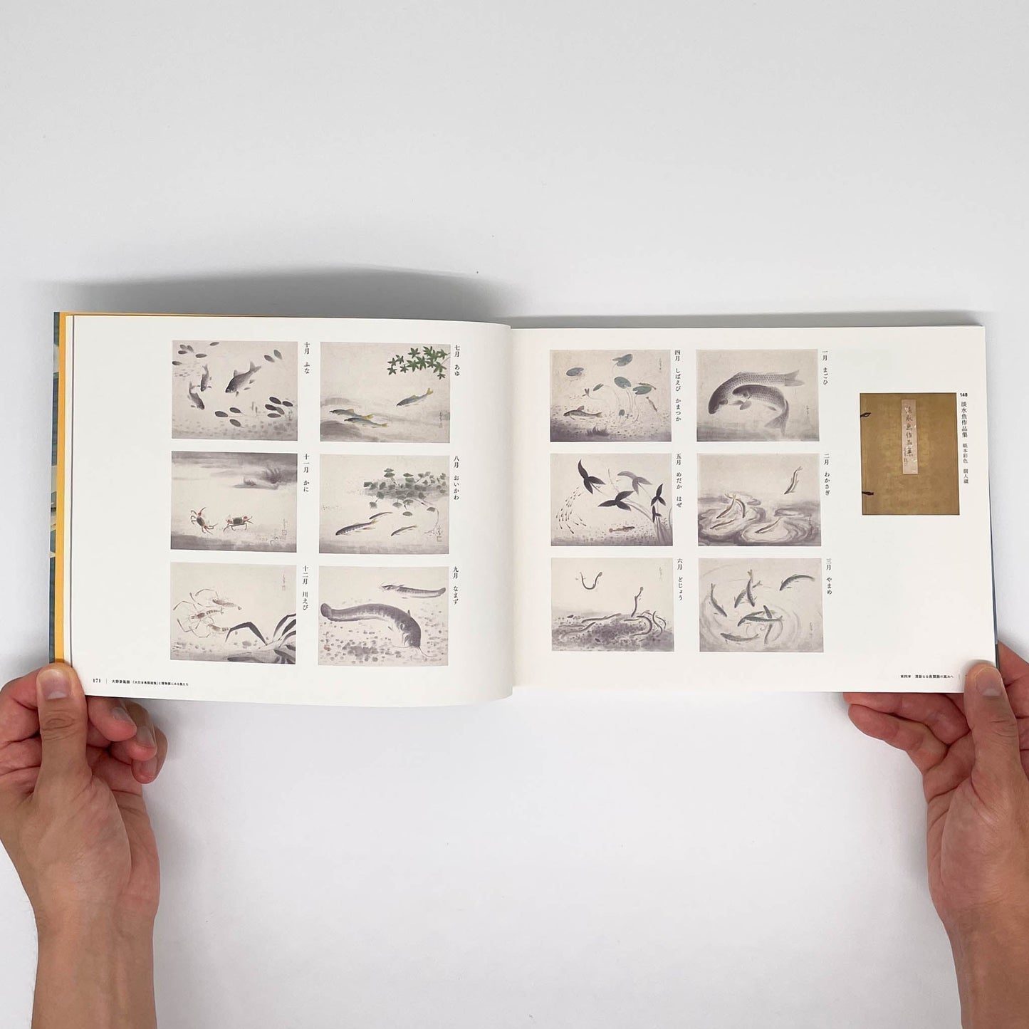 大野麥風展　「大日本魚類画集」と博物画にみる魚たち - 東京ステーションギャラリー - 文福