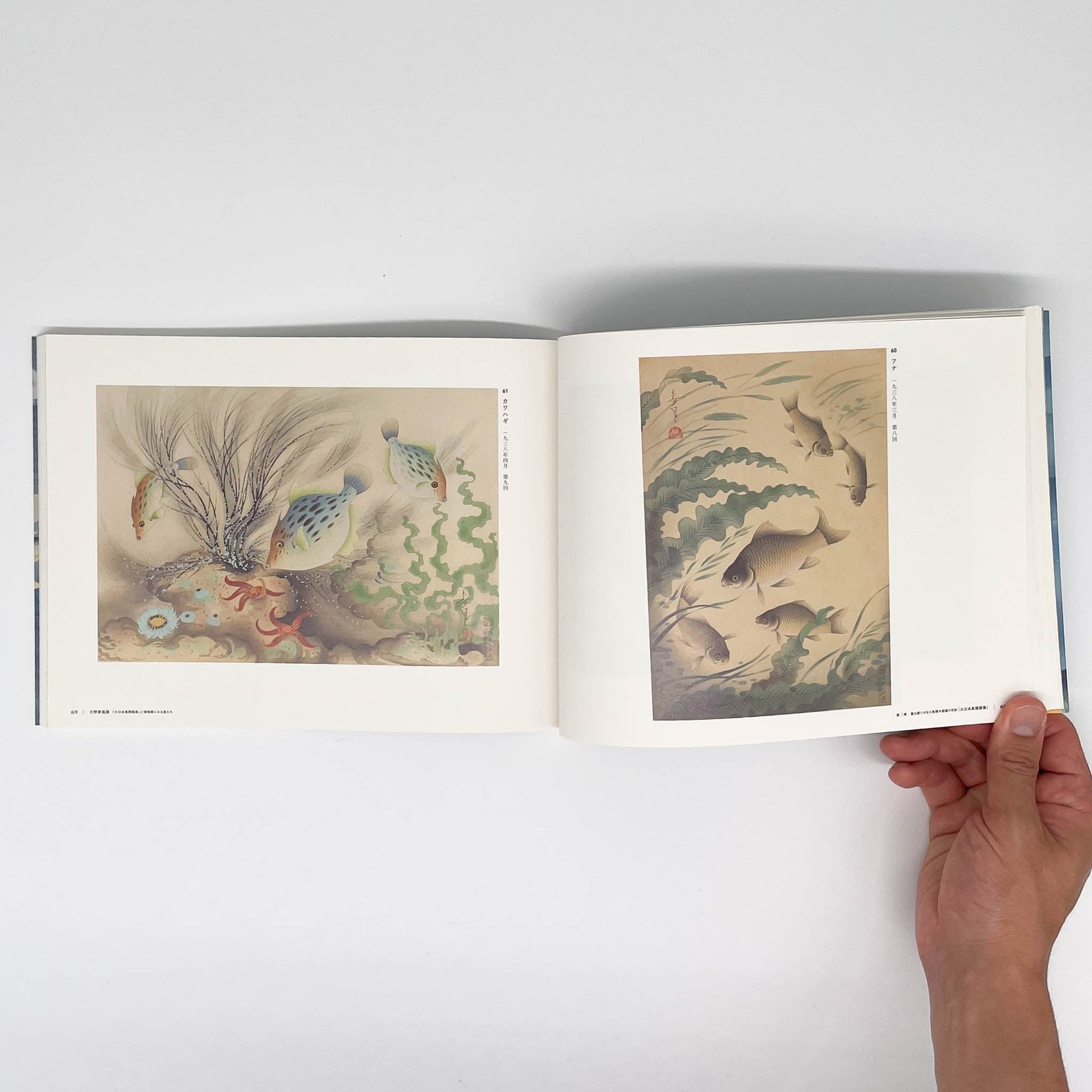 大野麥風展　「大日本魚類画集」と博物画にみる魚たち - 東京ステーションギャラリー - 文福