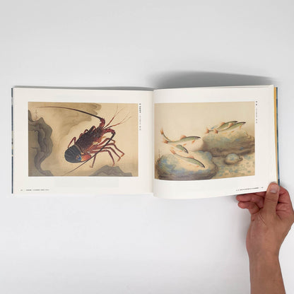 大野麥風展　「大日本魚類画集」と博物画にみる魚たち - 東京ステーションギャラリー - 文福