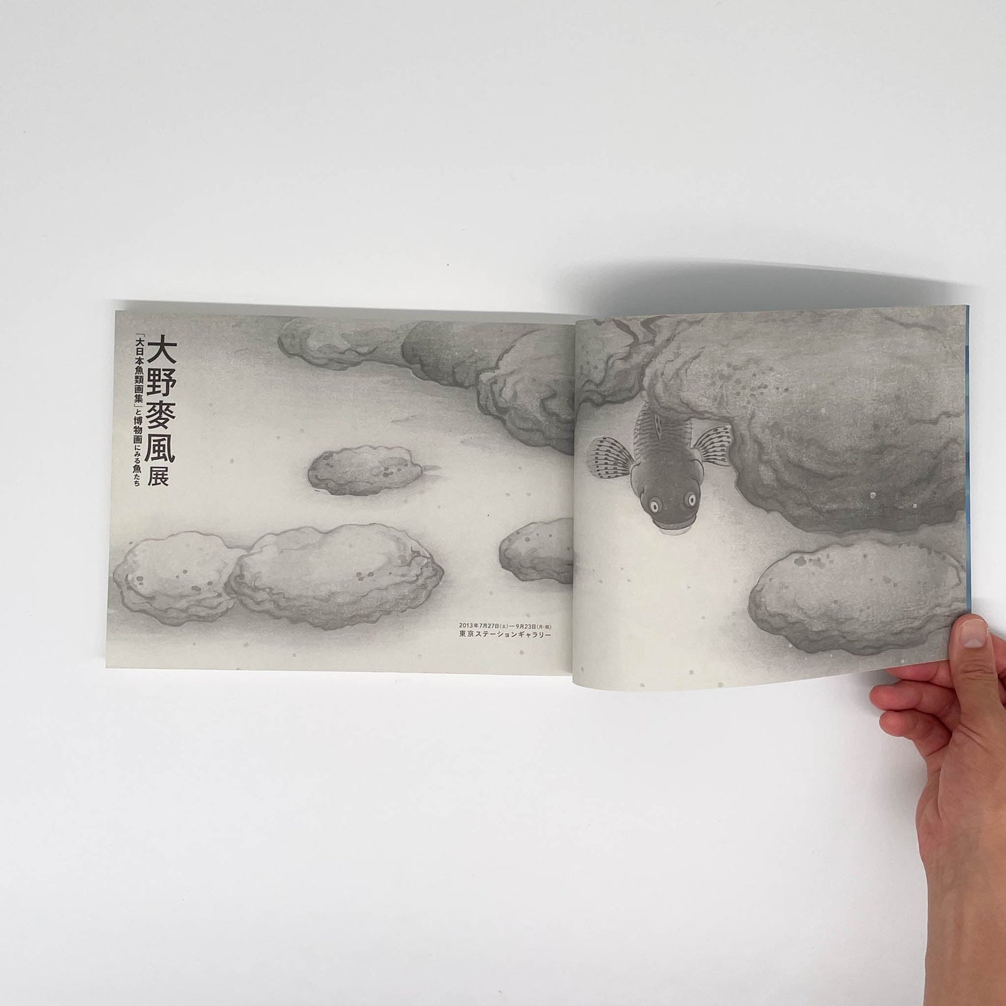 大野麥風展　「大日本魚類画集」と博物画にみる魚たち - 東京ステーションギャラリー - 文福