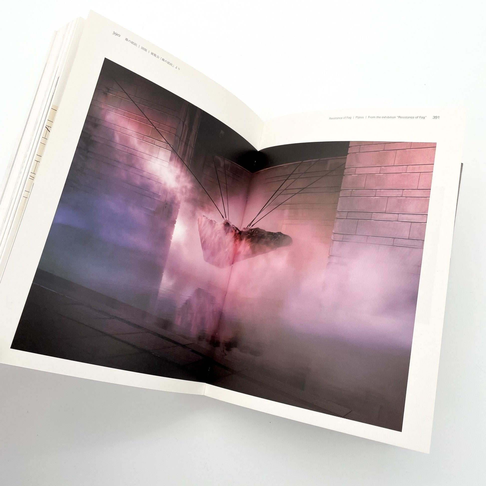 霧の抵抗　中谷芙二子展 - フィルムアート社 - 文福