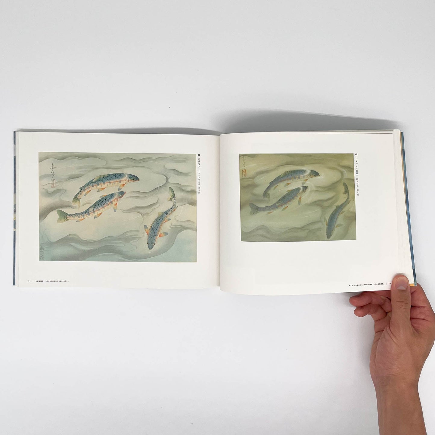 大野麥風展　「大日本魚類画集」と博物画にみる魚たち - 東京ステーションギャラリー - 文福