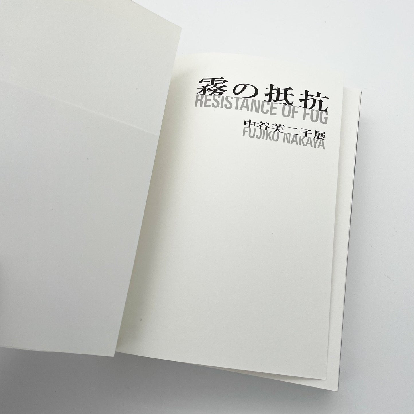 霧の抵抗　中谷芙二子展 - フィルムアート社 - 文福
