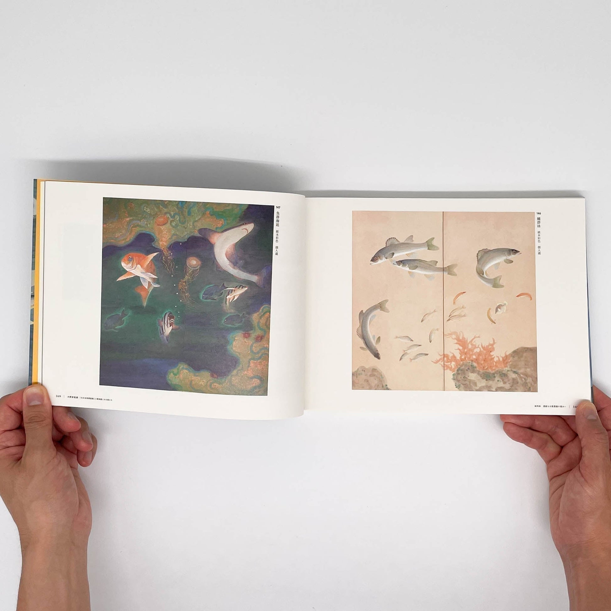 大野麥風展　「大日本魚類画集」と博物画にみる魚たち - 東京ステーションギャラリー - 文福