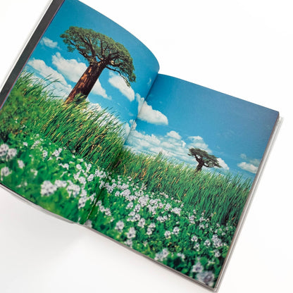 蜷川実花　Pink Rose Suite （新装版） - エディション・トレヴィル - 文福