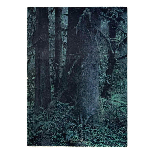 上田義彦　クウィノルト　Quinault - 京都書院 - 文福