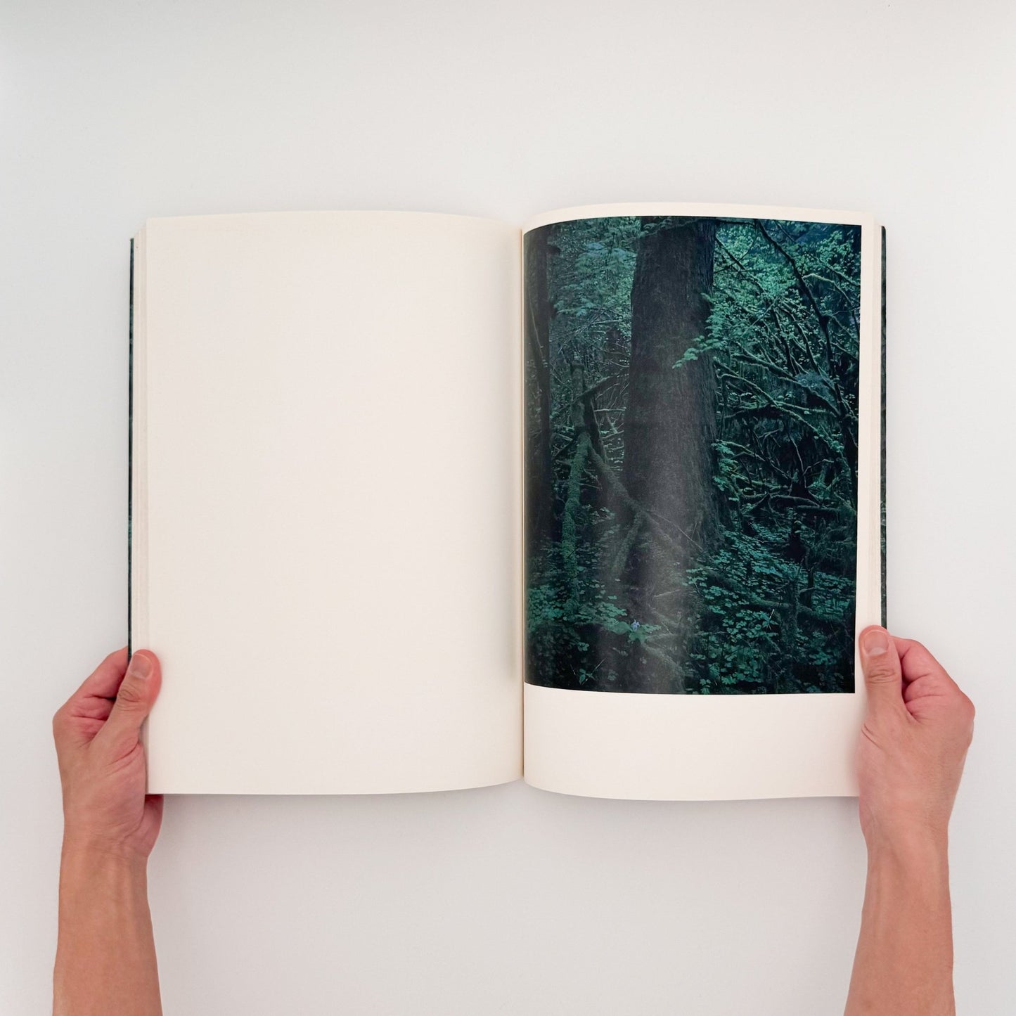 上田義彦　クウィノルト　Quinault - 京都書院 - 文福