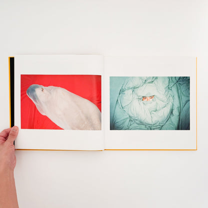任航 : Ren Hang　Republic - Editions du LIC - 文福