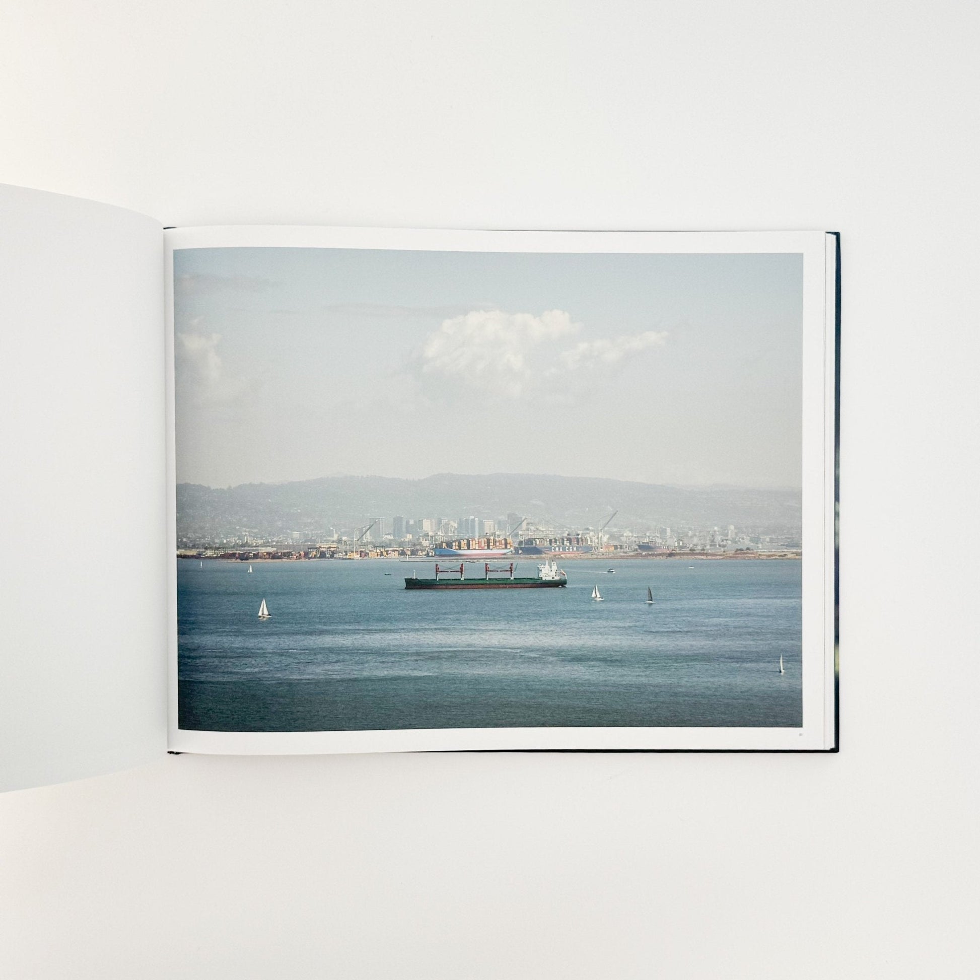 （英文）リチャード・ミズラック　カーゴ　Richard Misrach: Cargo - Aperture - 文福