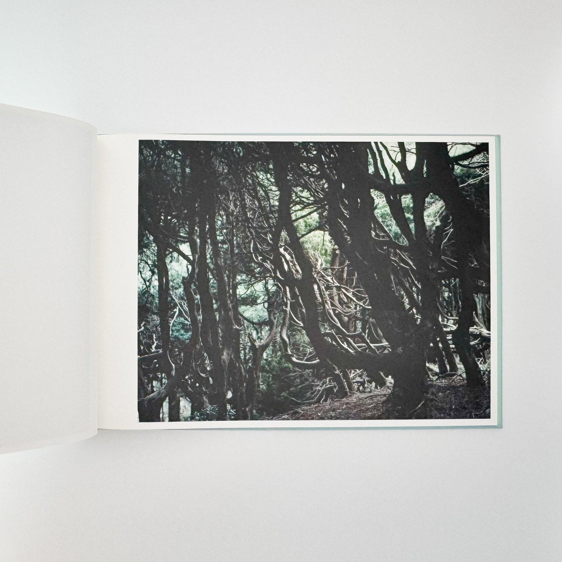 鈴木理策　海と山のあいだ Between the Sea and the Mountain – Kumano（サイン入り） - アマナサルト - 文福