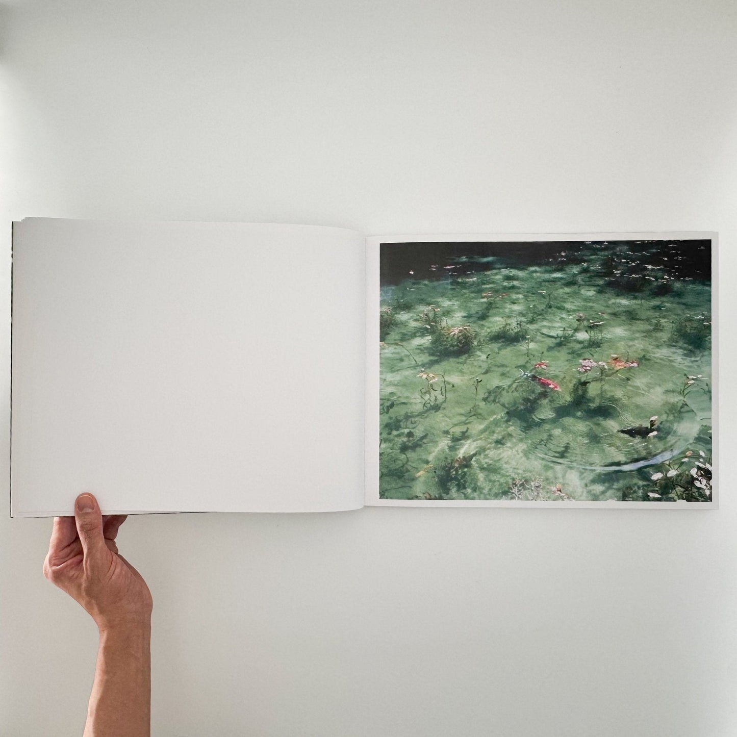 鈴木理策　Water Mirror（サイン入り） - Case Publishing - 文福