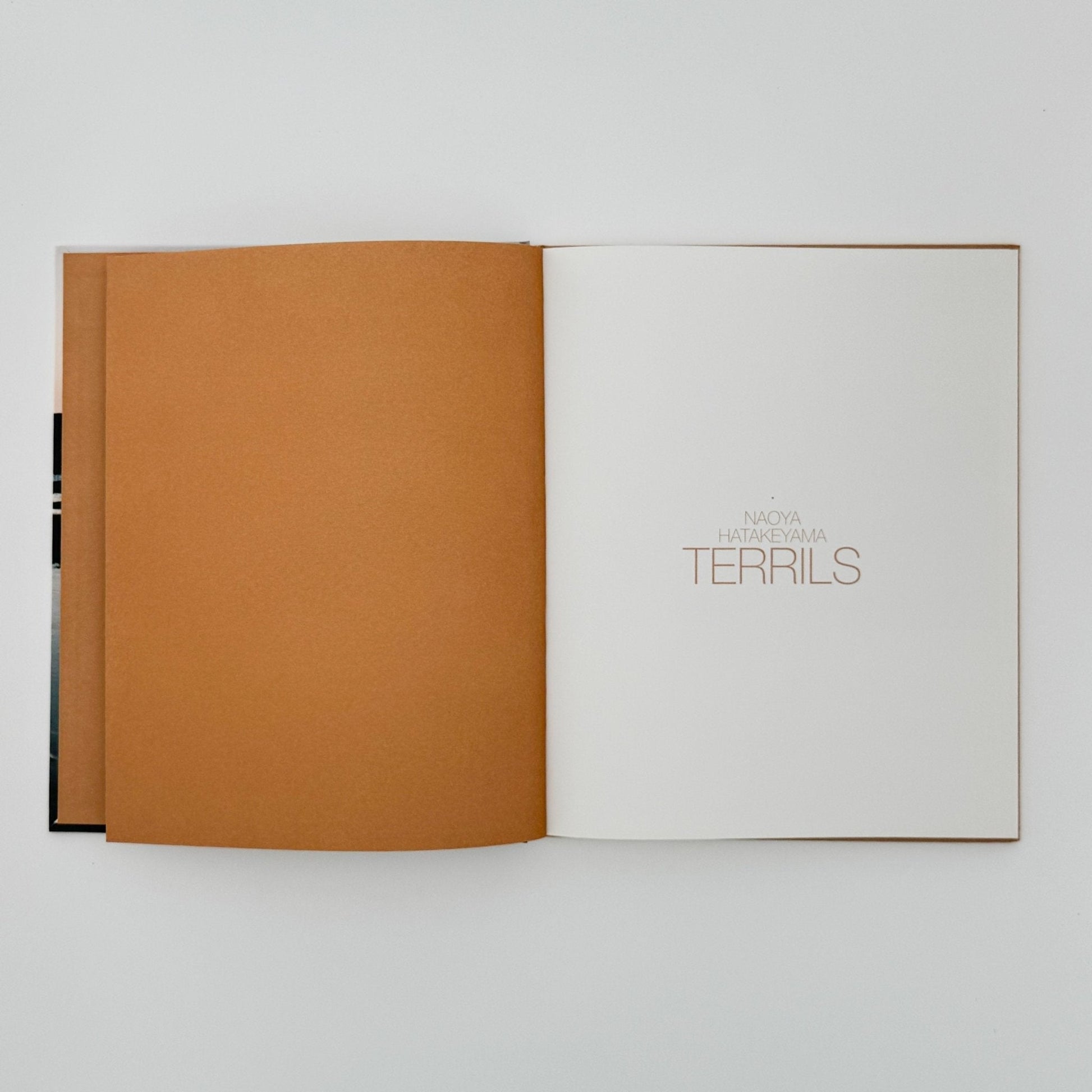 (仏文) 畠山直哉　TERRILS - LIGHT MOTIV - 文福