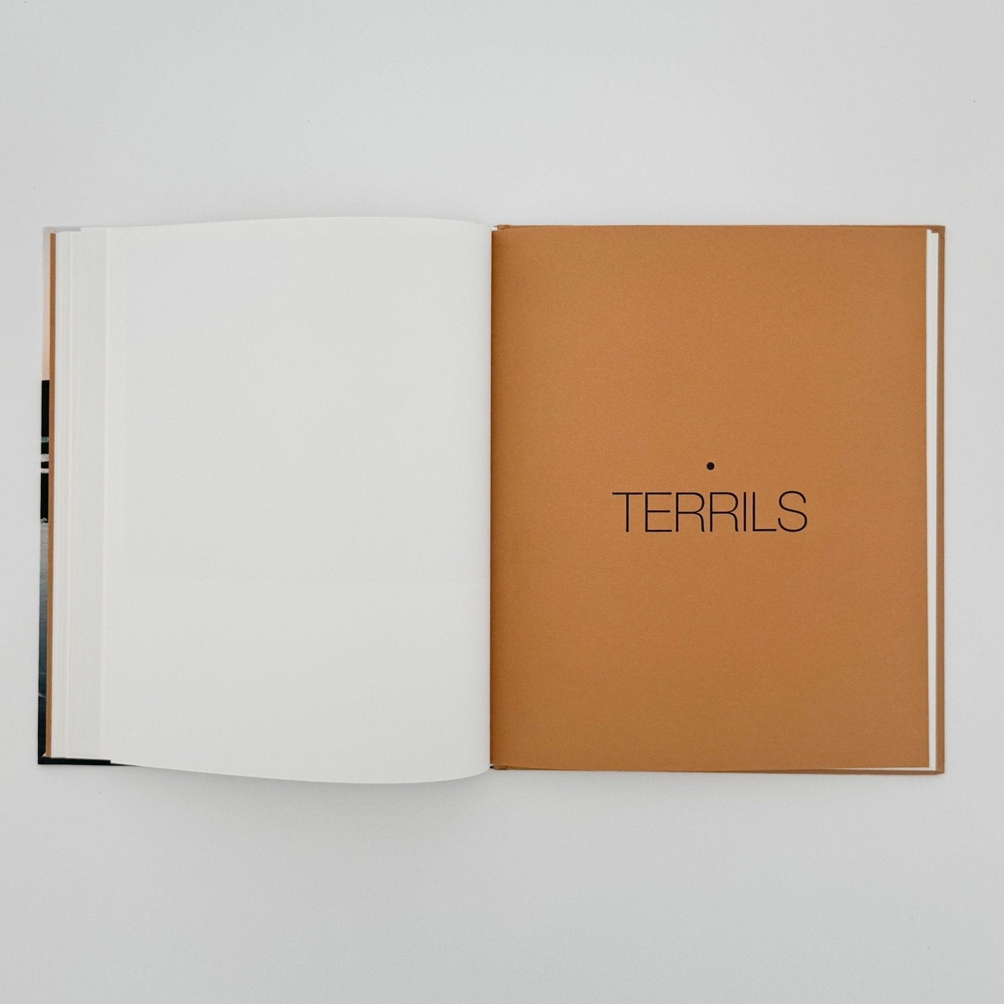 (仏文) 畠山直哉　TERRILS - LIGHT MOTIV - 文福