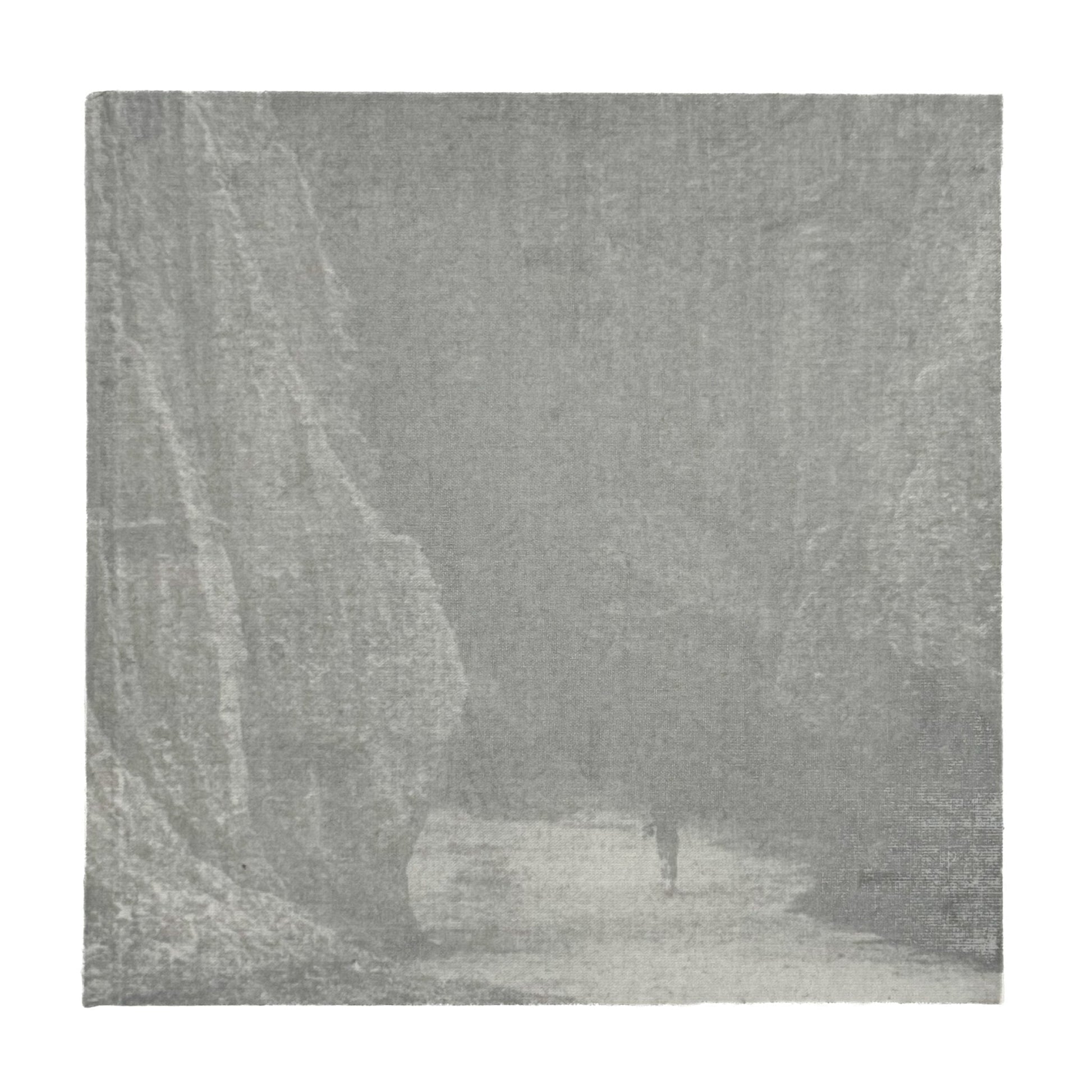 柳沢信　Untitled - roshin books - 文福