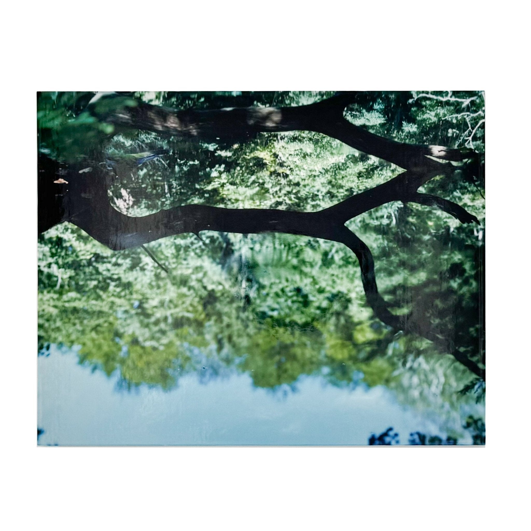 铃木理作摄影集：水镜– 文福