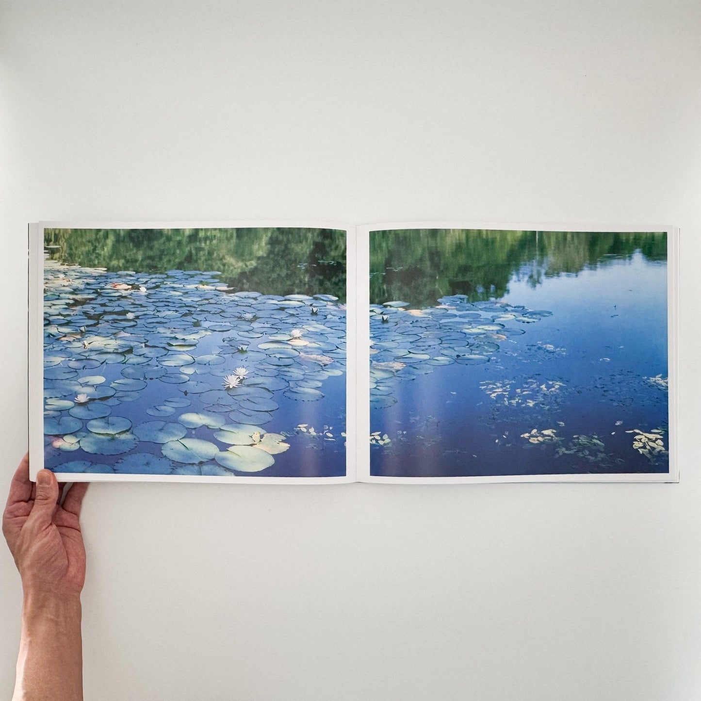 鈴木理策　Water Mirror（サイン入り） - Case Publishing - 文福
