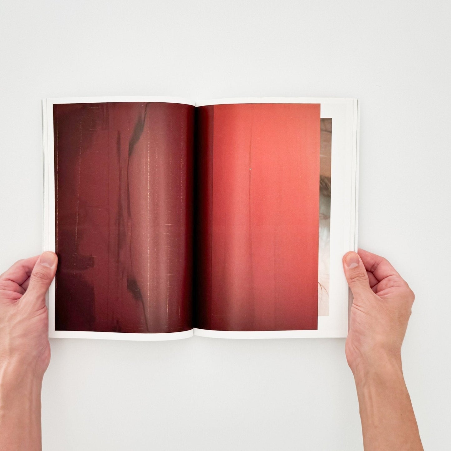 WOLFGANG TILLMANS　ヴォルフガング・ティルマンス - 美術出版社 - 文福